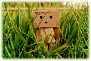 5915652176 44931bd5631 - Danbo Photoshoot